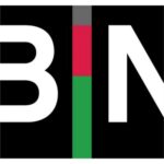 BIN Logo